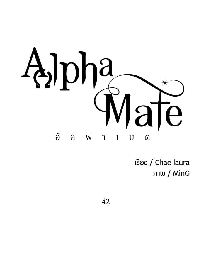 Alpha Mate 42 008