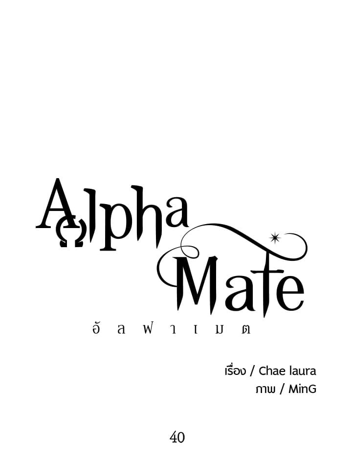 Alpha Mate 40 27