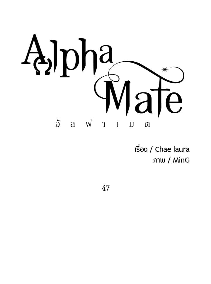 Alpha Mate 47 035