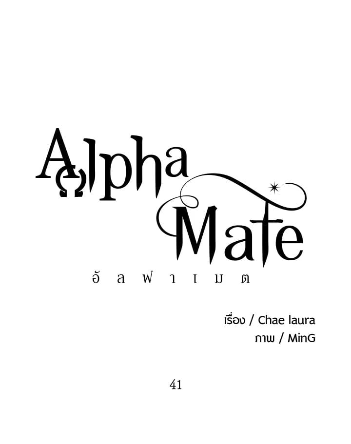 Alpha Mate 41 06